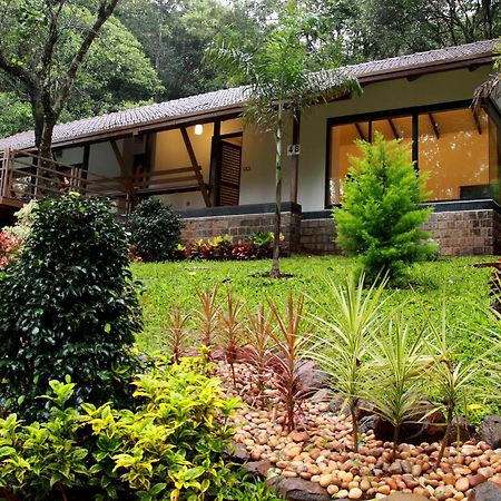 The Ibnii - Eco Luxury Resort Madikeri Luaran gambar