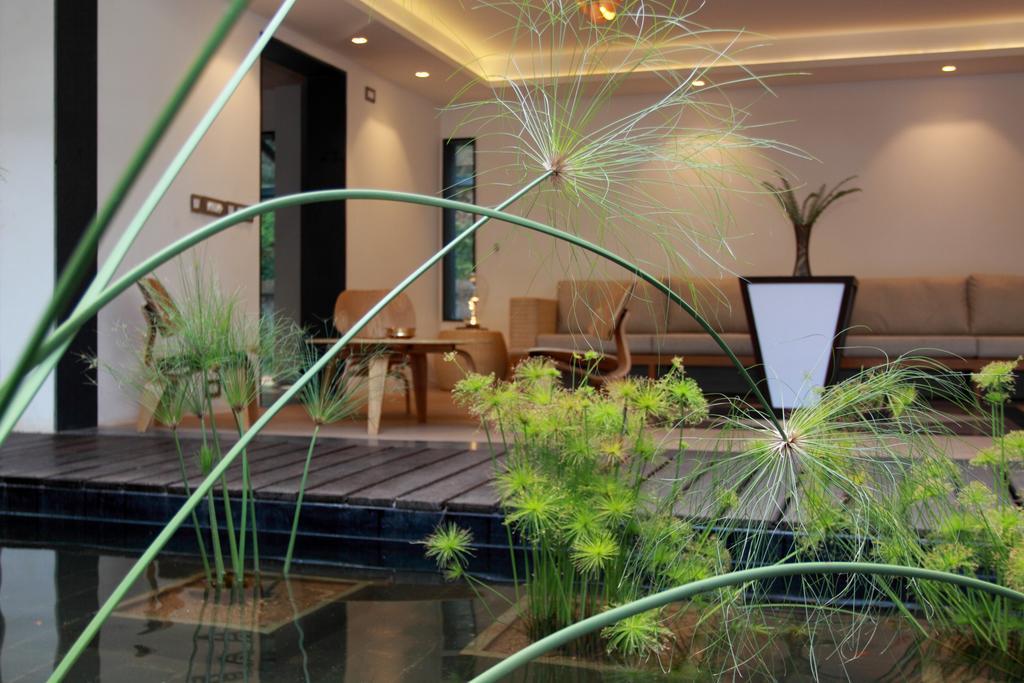 The Ibnii - Eco Luxury Resort Madikeri Luaran gambar