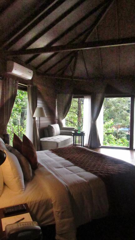 The Ibnii - Eco Luxury Resort Madikeri Luaran gambar